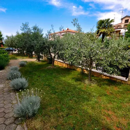 Ana M Apartments Novigrad  Exterior photo