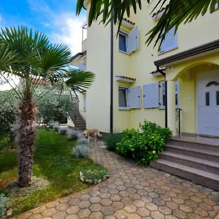 Ana M Apartments Novigrad  Exterior photo